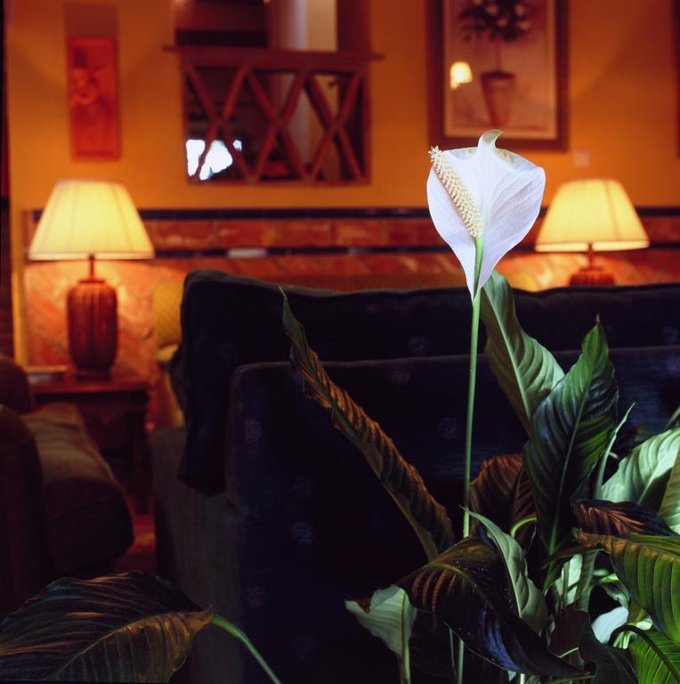Gasthaus Cortijo La Reina Málaga Interior foto